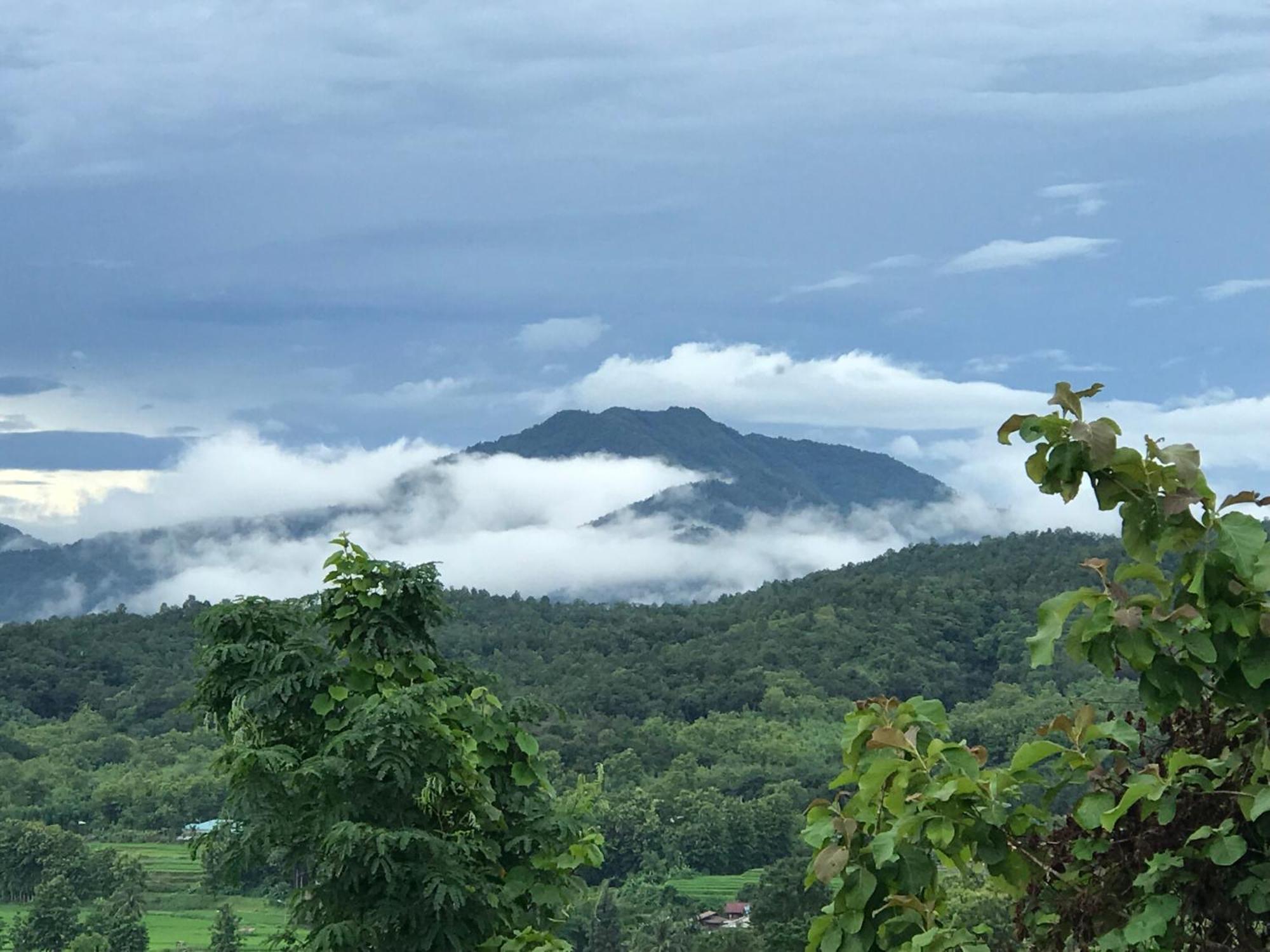 Pua Tranquil Vista Homestay Buitenkant foto
