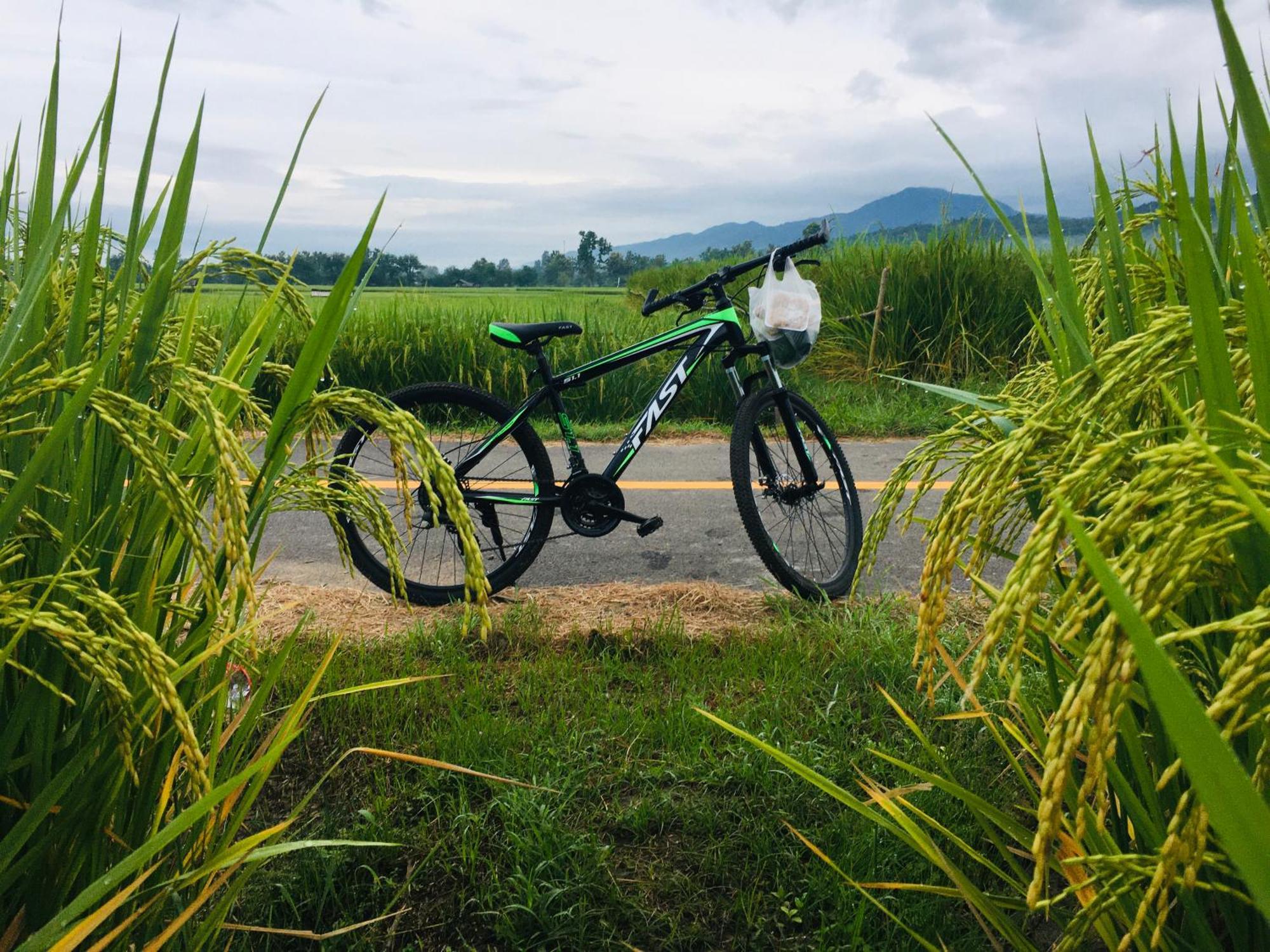 Pua Tranquil Vista Homestay Buitenkant foto