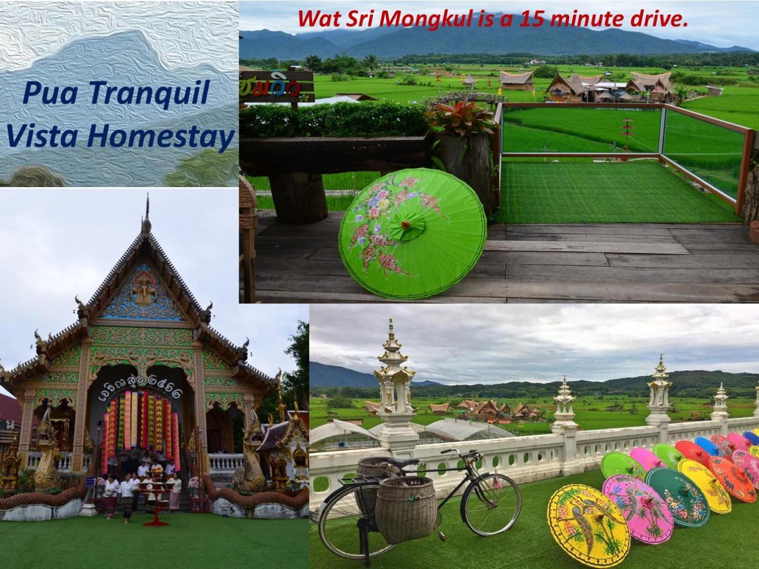 Pua Tranquil Vista Homestay Buitenkant foto