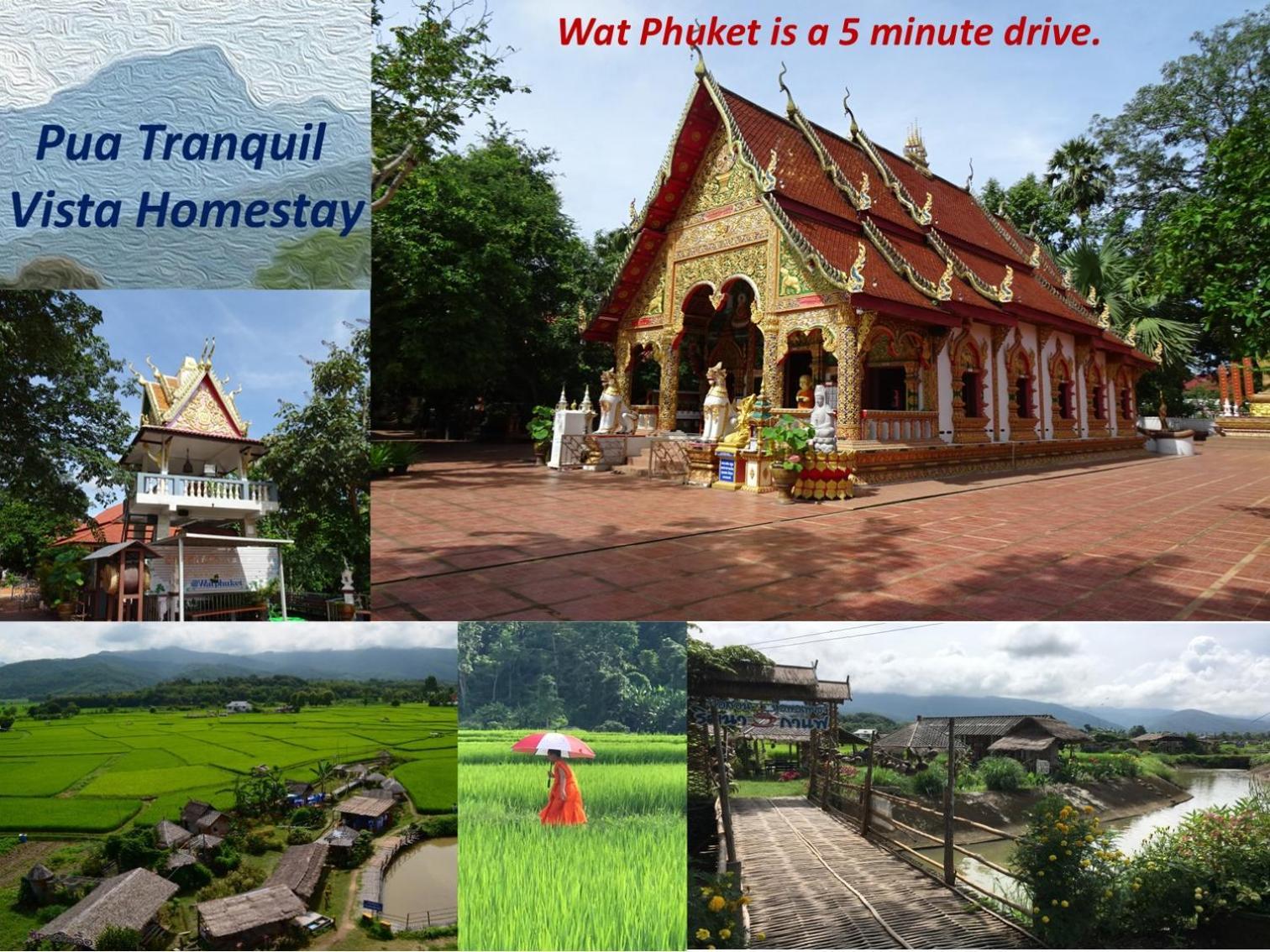 Pua Tranquil Vista Homestay Buitenkant foto